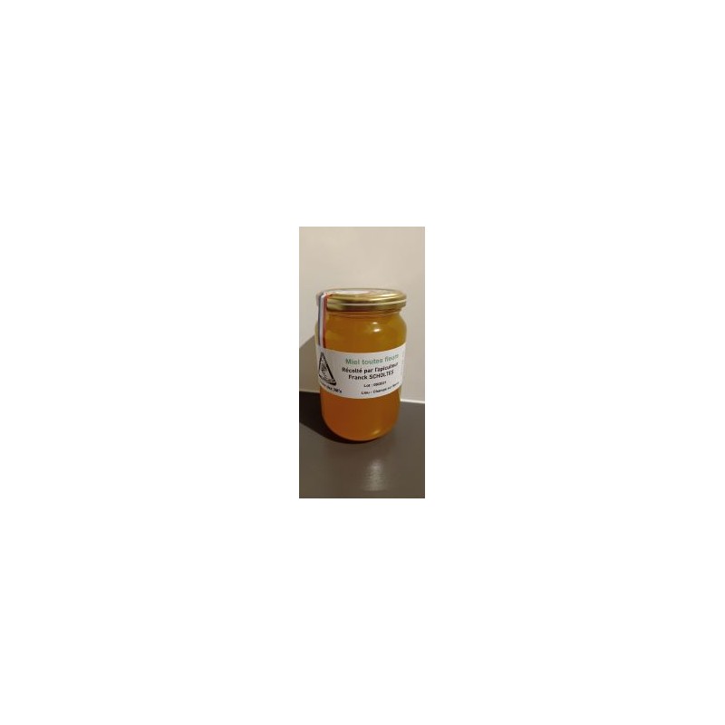 Miel fleurs crémeux (Ruch3M) 500g