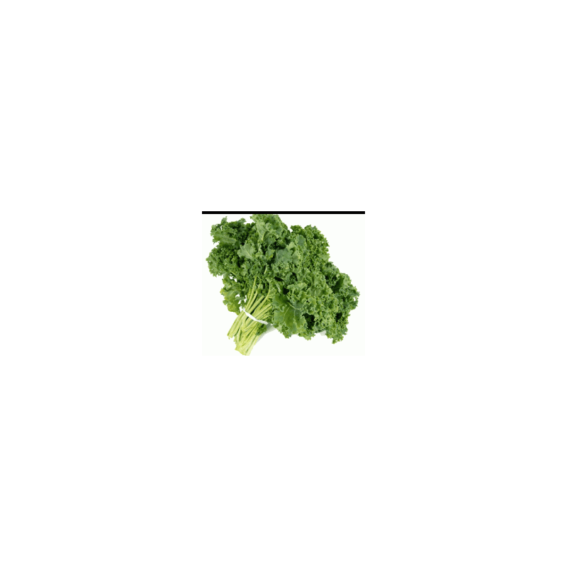 Chou Kale (FBrie) / kg