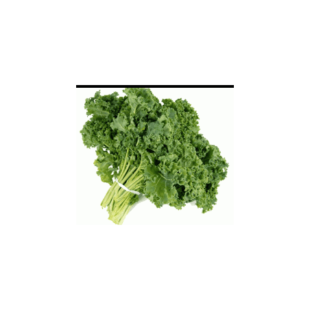 Chou Kale (FBrie) / kg
