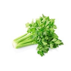 Céleri branche bio (FBrie) /kg