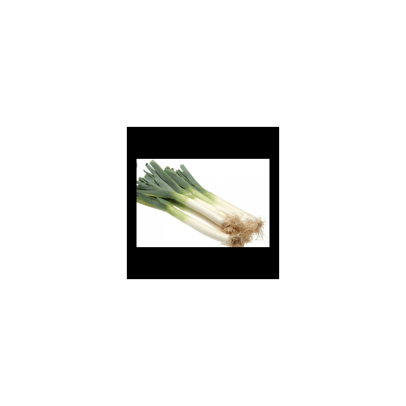 Poireaux (FBrie) /kg