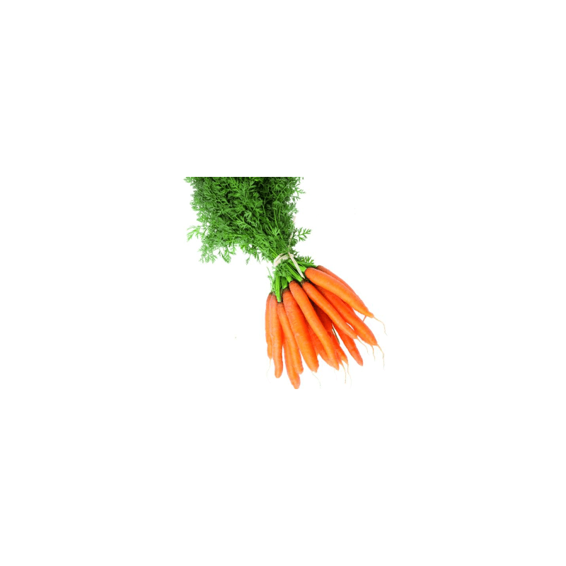 Carottes lavées bio (FdBrie) /kg