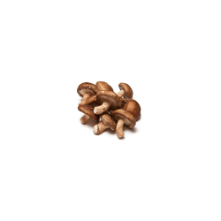 Champignons Shitakes (Champerrin) /kg
