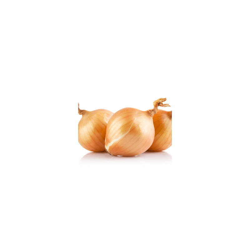 Essuie-touts 2 plis (Popee) 2 bobinesux