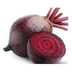 Betteraves rouges crues bio (FBrie) /kg