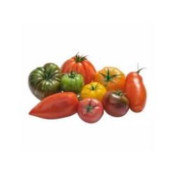 Tomates anciennes mélangées bio (FBrie) /kg