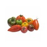 Tomates anciennes mélangées bio (FBrie) /kg