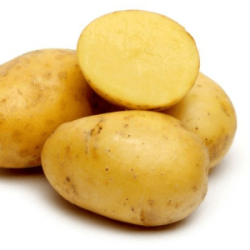 PdT Allians (FBrie) /kg