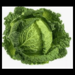 Chou vert frisé bio (FBrie) /pièce