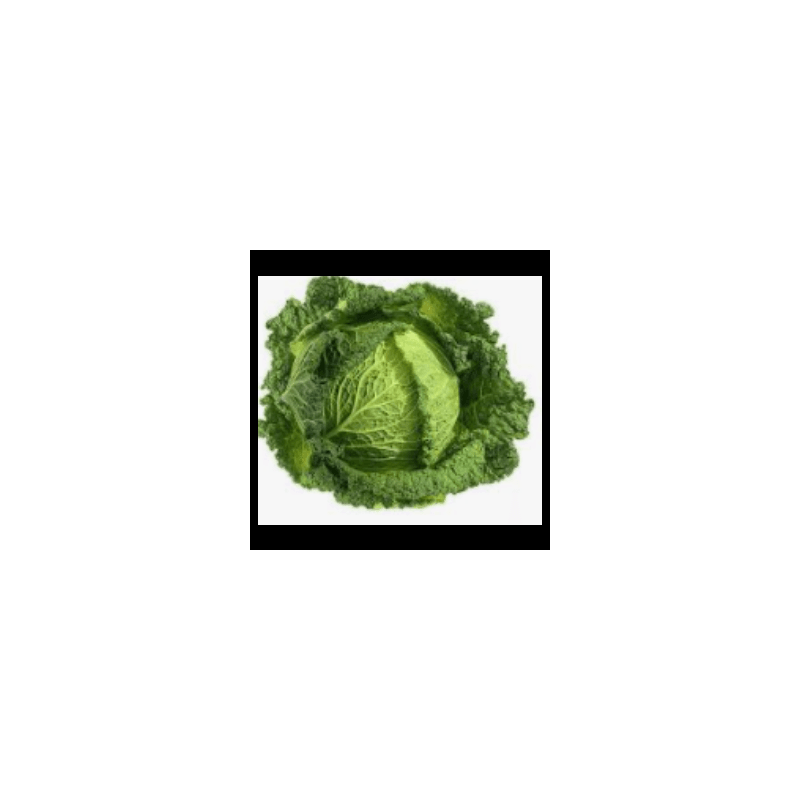 Chou vert frisé bio (FBrie) /pièce