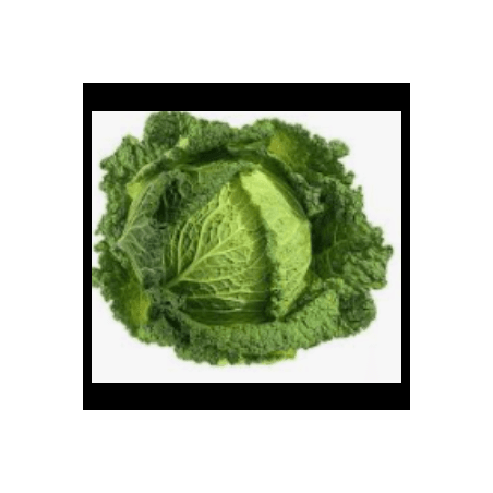 Chou vert frisé bio (FBrie) /pièce
