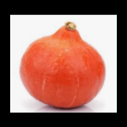 Potimarron bio (FBrie) /KG