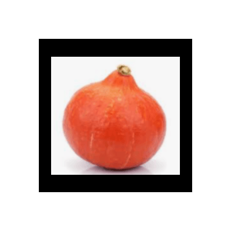 Potimarron bio (FBrie) /KG