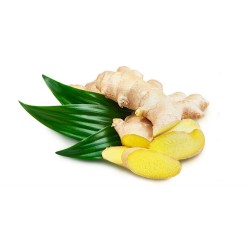 Gingembre frais bio (Dynamis) /kg