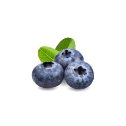 Myrtilles bio (Dynamis) barquette 125g