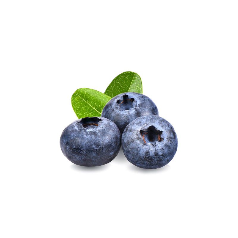 Myrtilles bio (Dynamis) barquette 125g