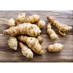 Topinambour bio (FBrie) /kg