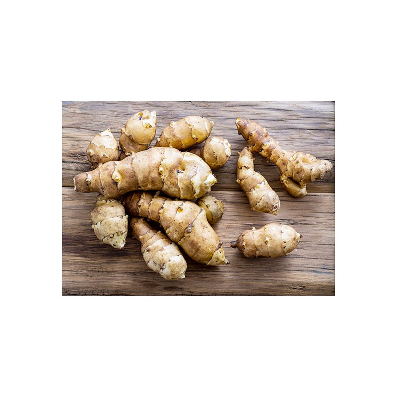 Topinambour bio (FBrie) /kg