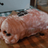Porc Rôti aux pruneaux (FMone) ~1kg /kg
