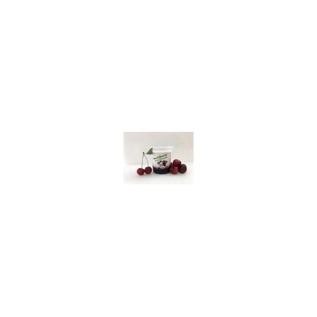 Yaourts fermiers griotte (FCourc) 2x125g