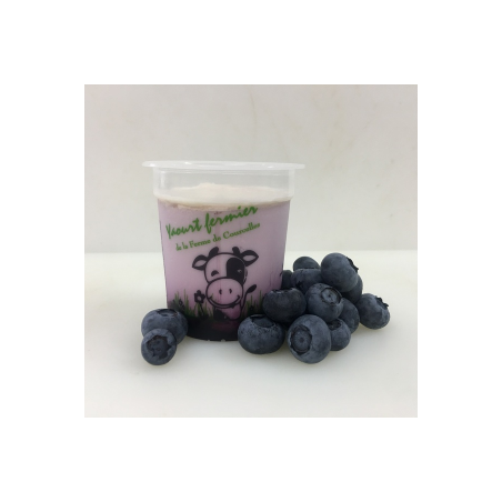 Yaourts fermiers bimyrtille (FCourc) 2x125g