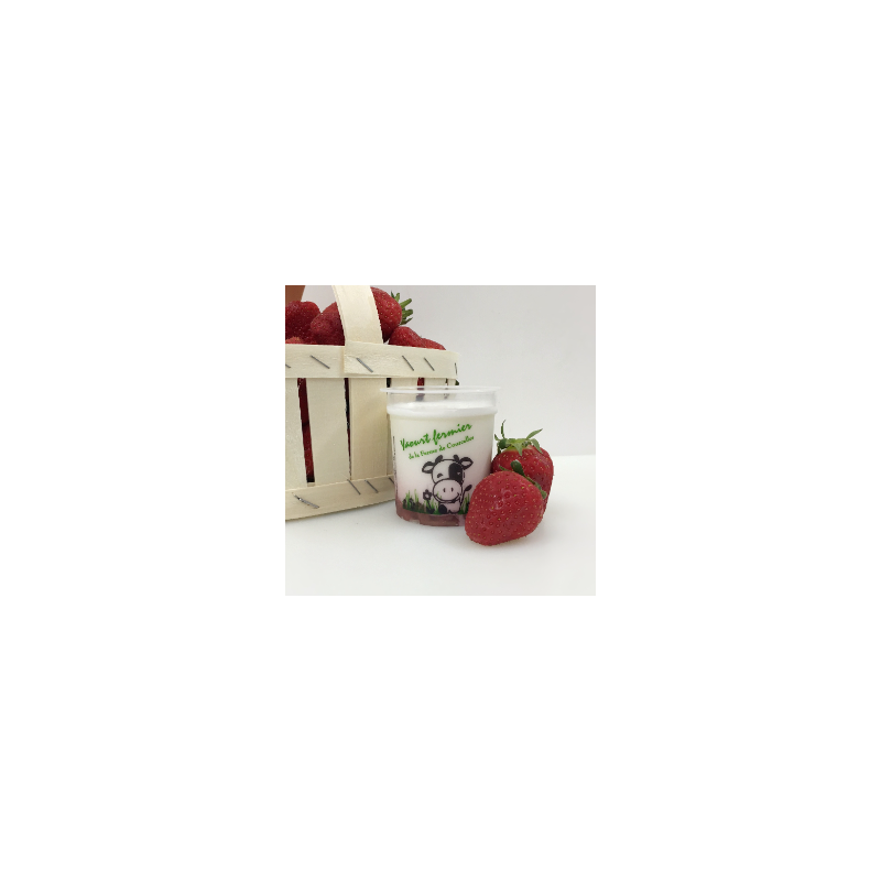 Yaourts fermiers bifraise (FCourc) 2x125g