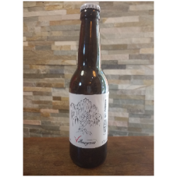 Bière Villenoyenne (BSaule) 33cl