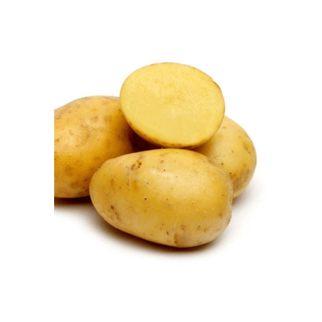 PdT Allians (FBrie) /kg