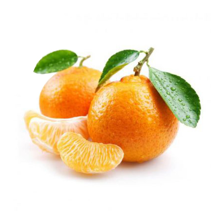 Mandarines bio (Biogalta) /kg