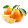 Mandarines bio (Biogalta) /kg