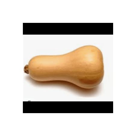 Butternut bio (FBrie) /KG