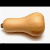 Butternut bio (FBrie) /KG