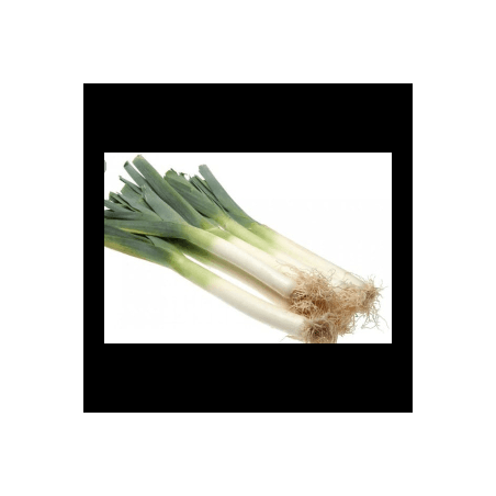 Poireaux (FBrie) /kg