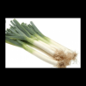 Poireaux (FBrie) /kg
