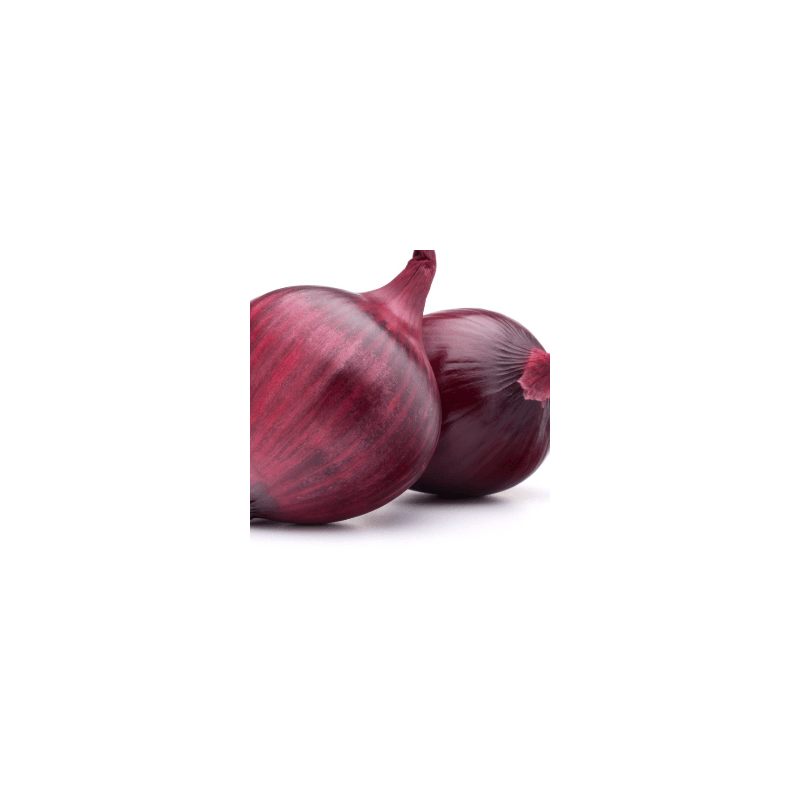 Oignons rouges bio (FBrie) /kg