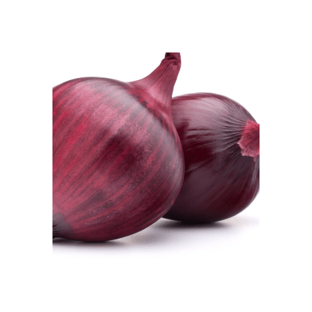 Oignons rouges bio (FBrie) /kg