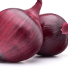 Oignons rouges bio (FBrie) /kg