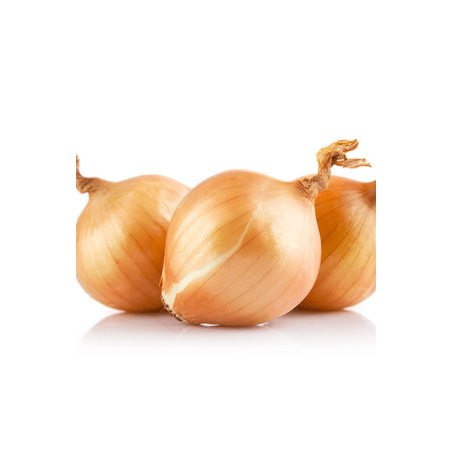 Oignons jaunes bio (FBrie) /kg