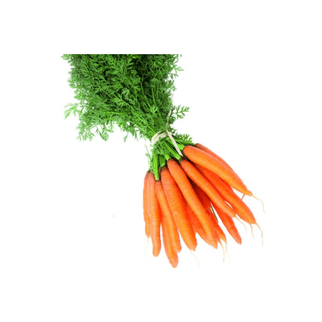 Carottes lavées bio (FdBrie) /kg