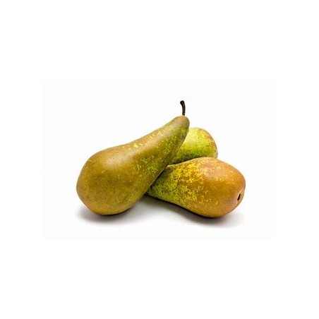 Poires Conférence bio (p&mFahy) /kg