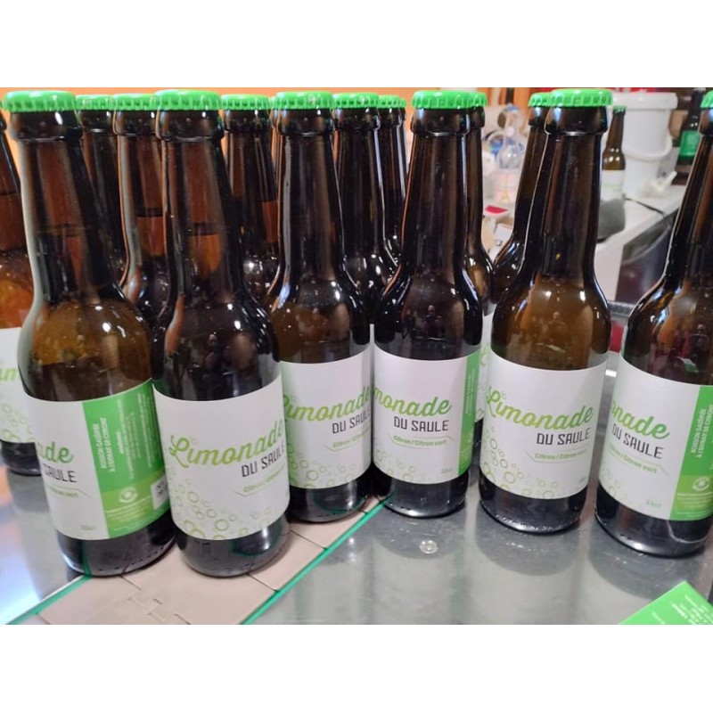 Limonade citron/citron vert (BSaule) 33cl