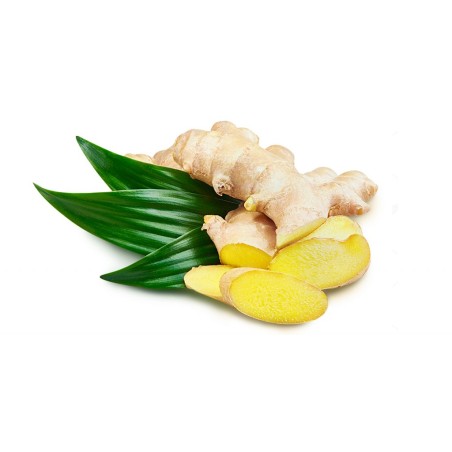 Gingembre frais bio (Dynamis) /kg