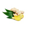 Gingembre frais bio (Dynamis) /kg