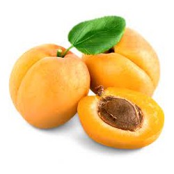 Abricots bio (Dynamis) /kg