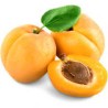 Abricots bio (Dynamis) /kg