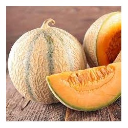 Melon charentais (Dynamis) /kg