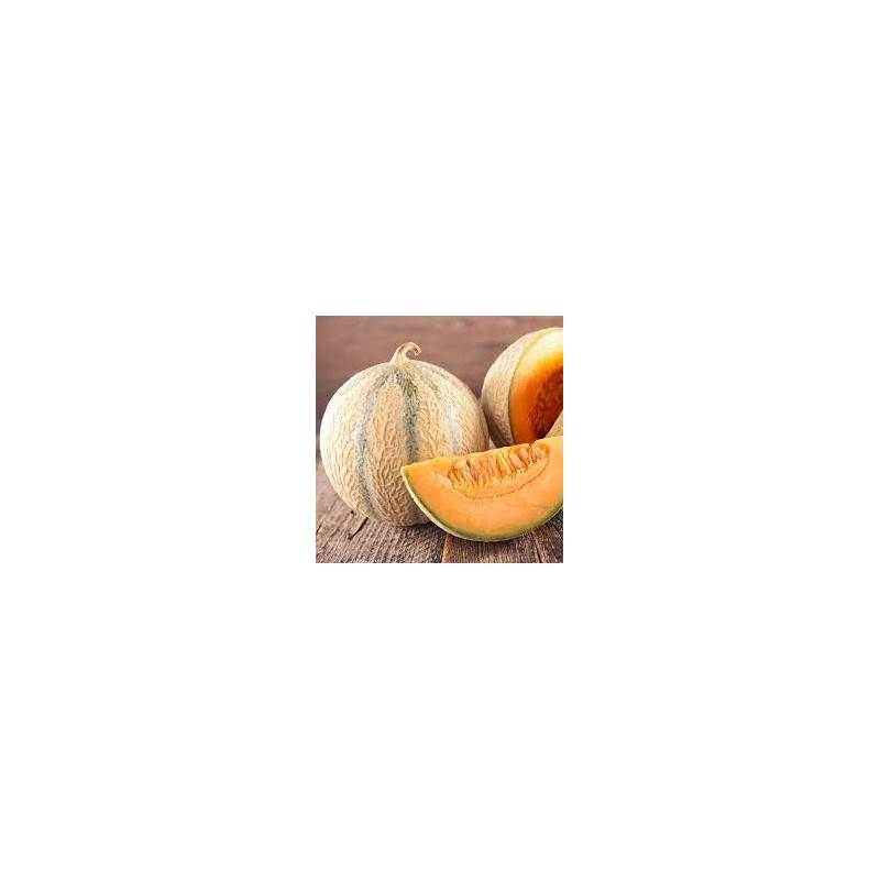 Melon charentais (Dynamis) /kg