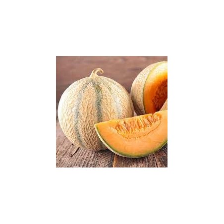 Melon charentais (Dynamis) /kg