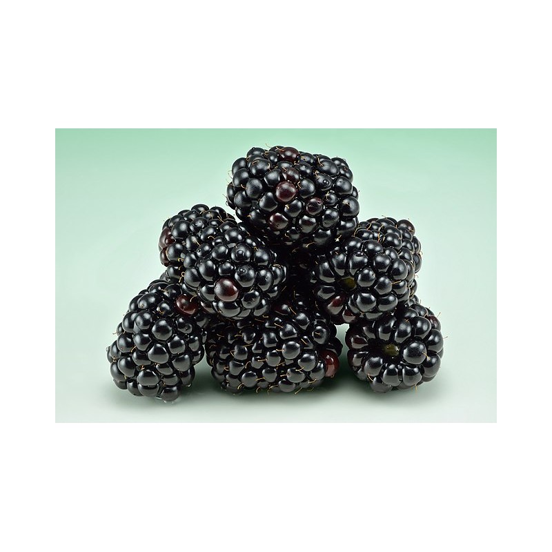 Mûres (Dynamis) 125g
