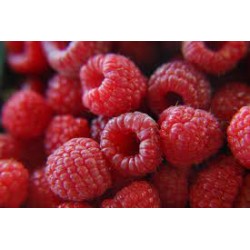 Framboises bio (Dynamis) 125g